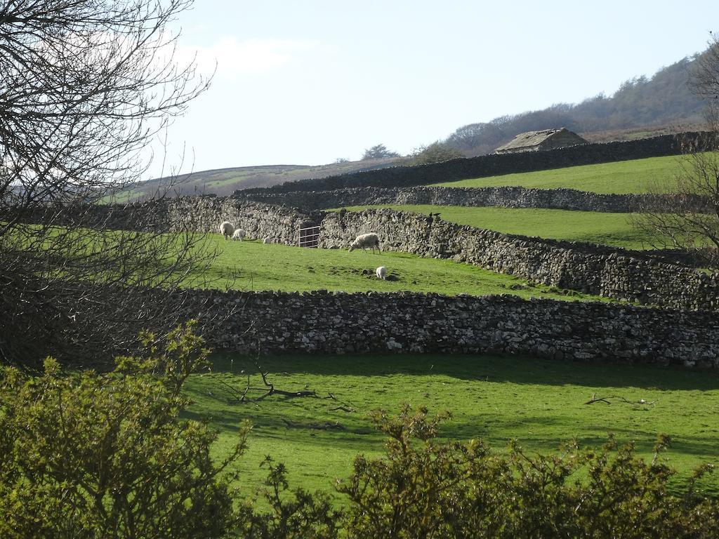 Thornsgill House Bed & Breakfast Askrigg Ruang foto
